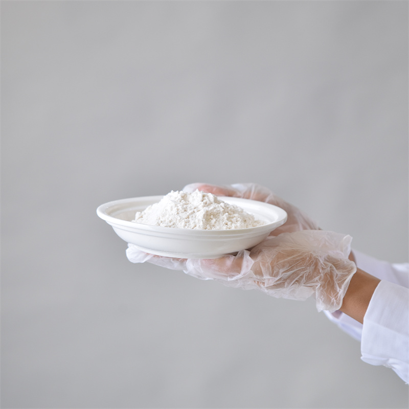 Adenosiini-5-trifosfaattidinatriumsuola CAS 987-65-5